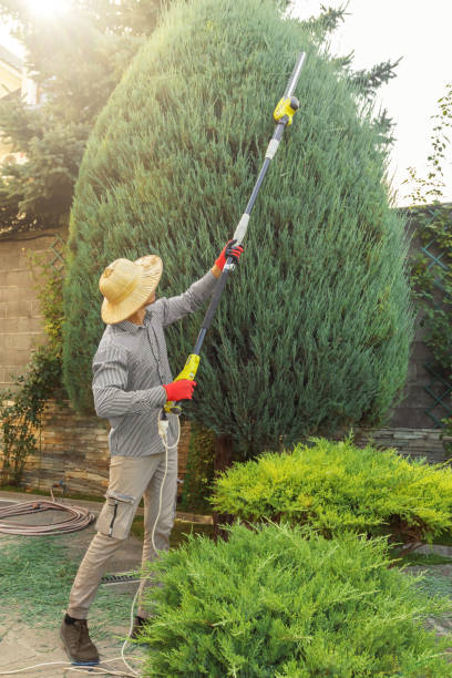 Best Pest Control for Lawns  in Granger, WA